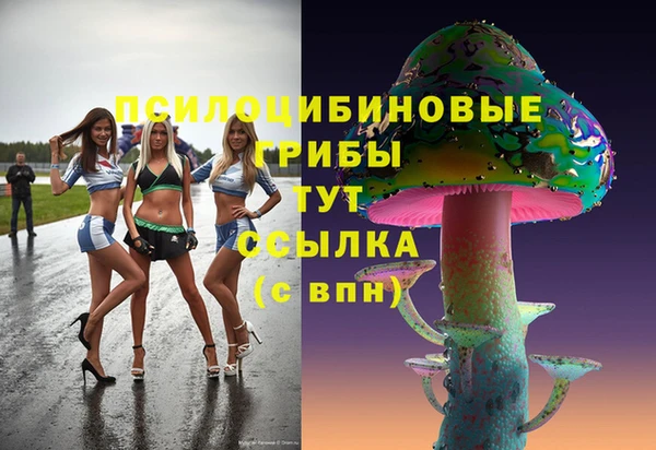 марки nbome Пересвет
