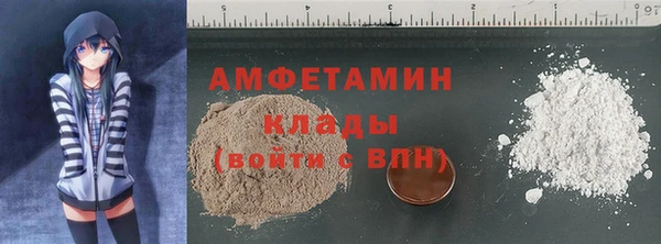 амф Алексин