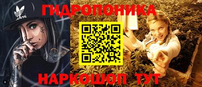 молекула духа Старая Купавна