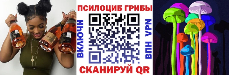Галлюциногенные грибы Psilocybine cubensis купить цена Пермь