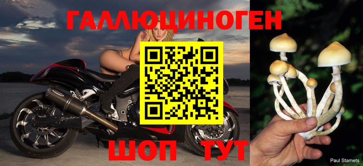 Псилоцибиновые грибы мицелий Пермь